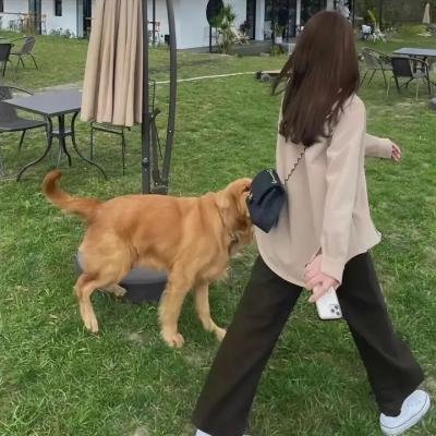 旋风骑士